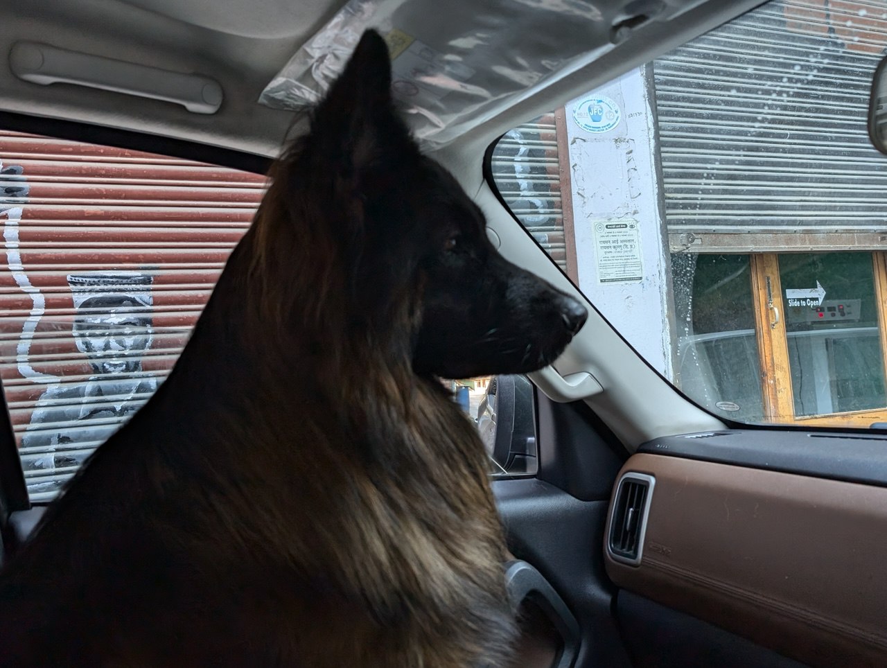 Professional Development